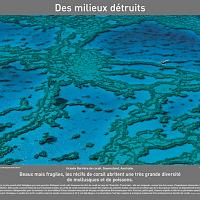 P2007 09DesMilieuxDetruits 